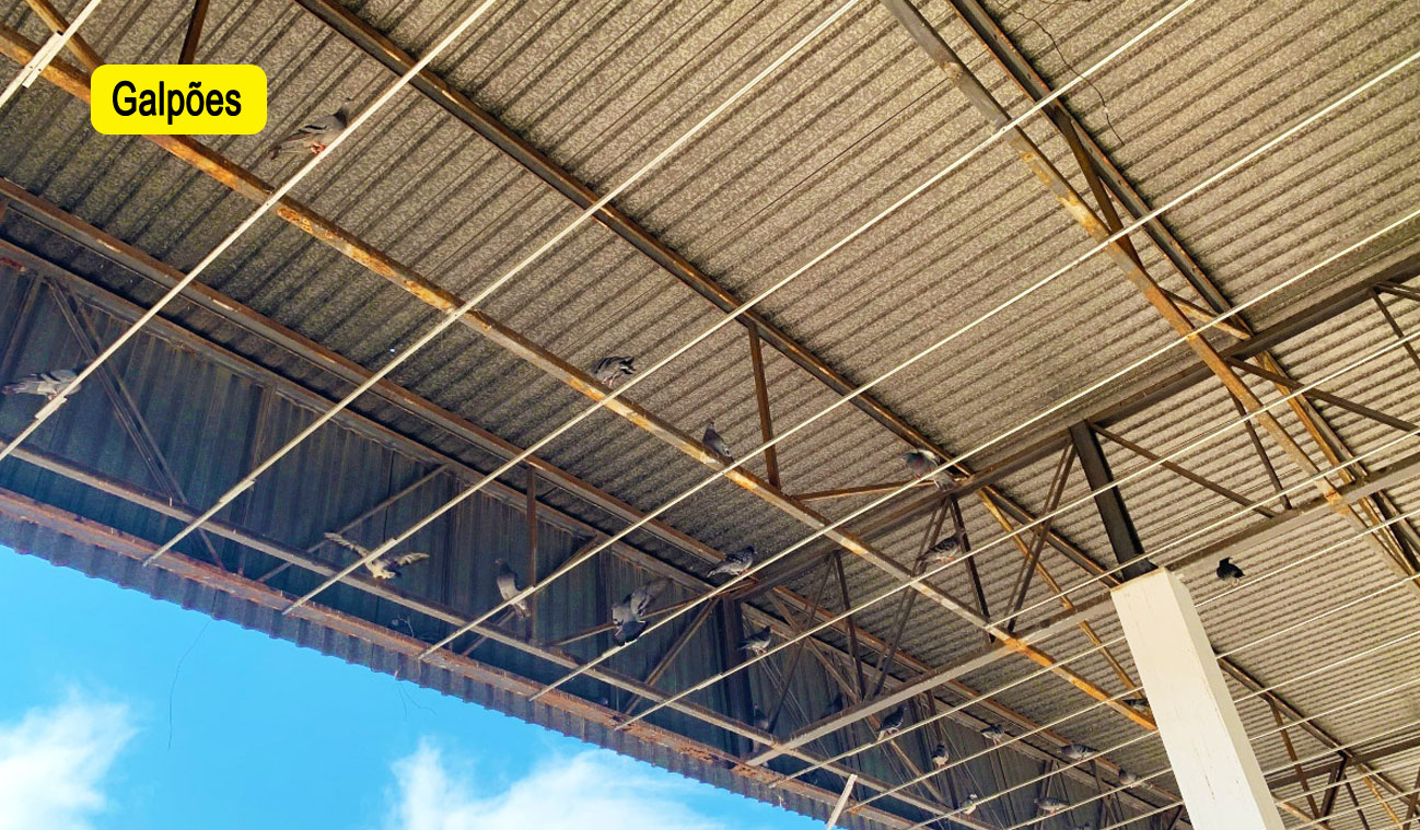 Repelente para aves intrusas